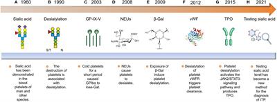 The role of platelet desialylation as a biomarker in primary immune thrombocytopenia: mechanisms and therapeutic perspectives